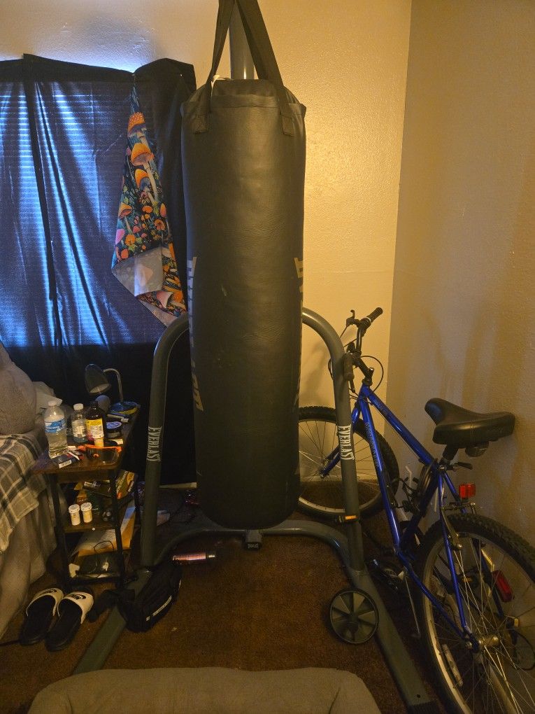 Punching Bag Plus Stand