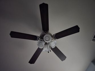 Ceiling Fan