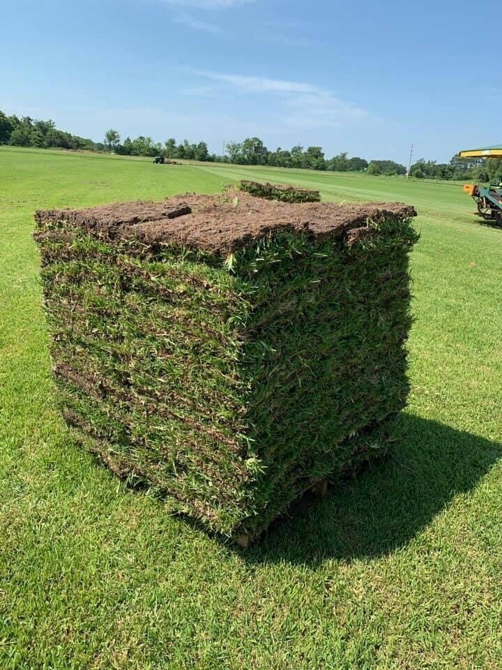 Pallets Of St Augustine Grass for Sale in Fort Lauderdale, FL OfferUp