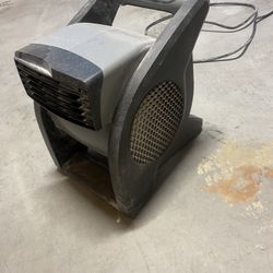 Fan