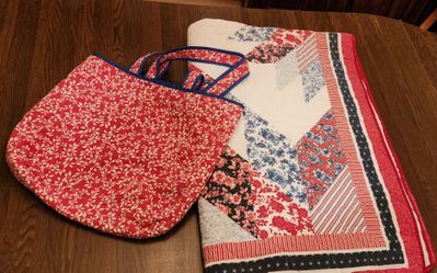 Blanket in a Bag