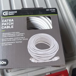 Cat 6a Internet Phone Line 