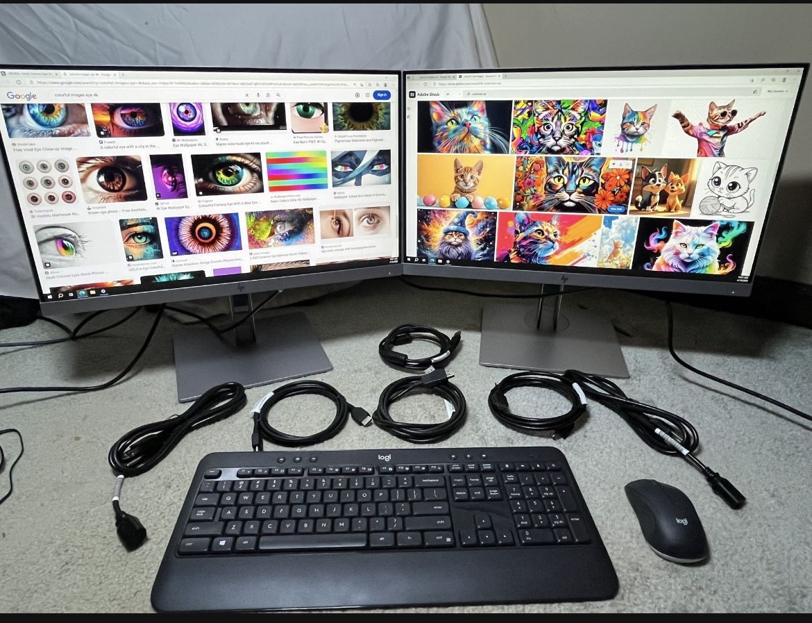 Dual 22” HP Monitors +Keyboard +Mouse+Cables