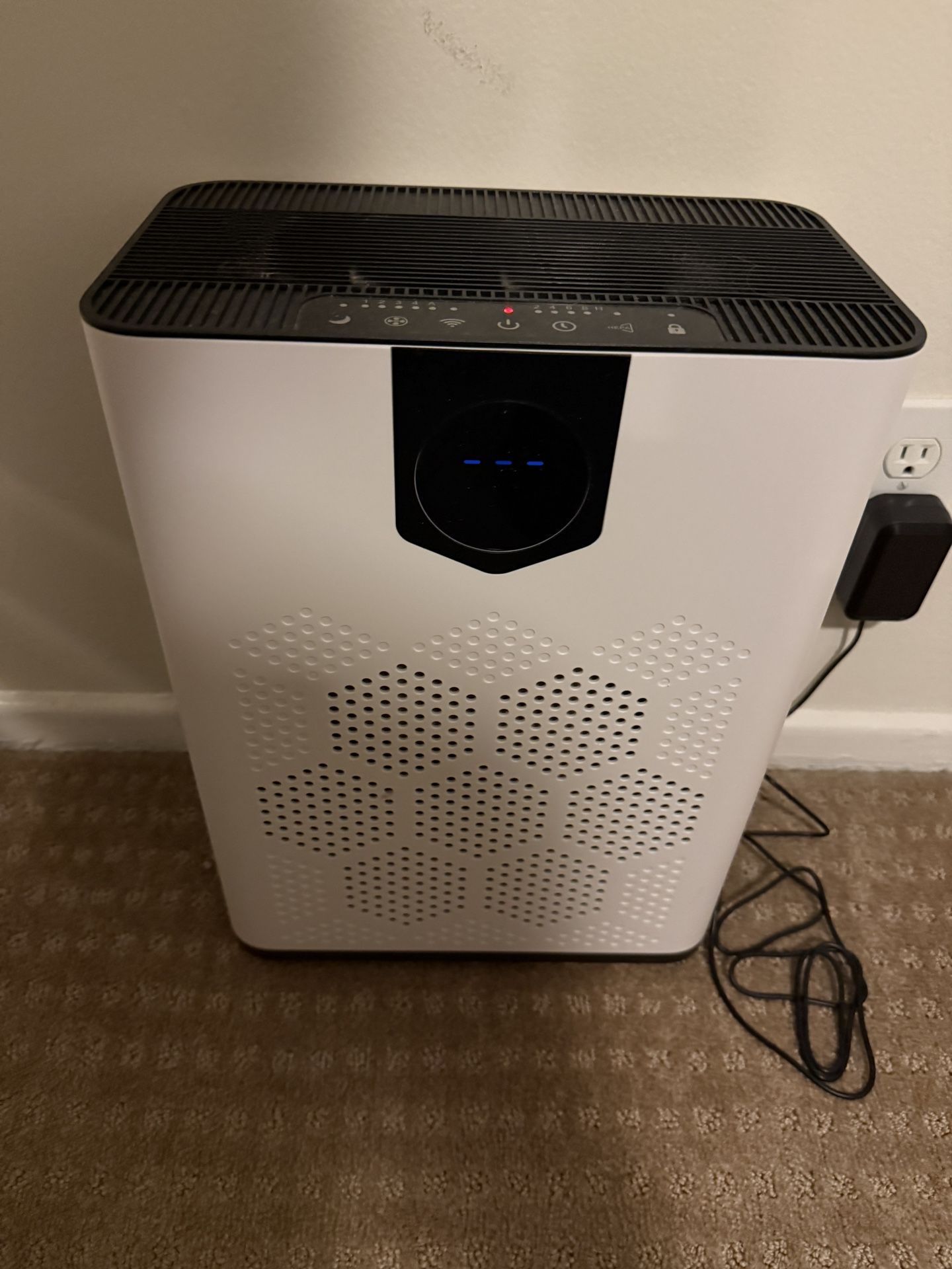 Two HEPA Filters