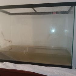 🐟🐟🐟Tank and Supplies 🐟🐟🐟
