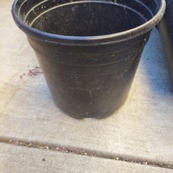 Approximately 1 Gallon Pot Size Plant Plastic Pots For Sales 