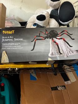 Spider