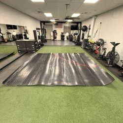 Wrestling/grappling Mat