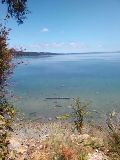 Grow 10,000 oysters and clams every 18 months