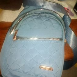 Small Blue Bag 