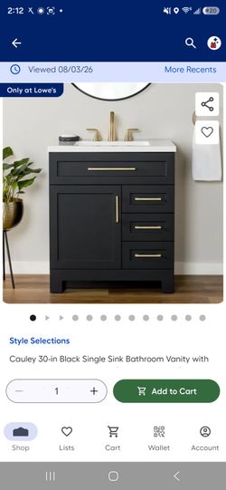 30-in Black Single Sink Bathroom Vanity