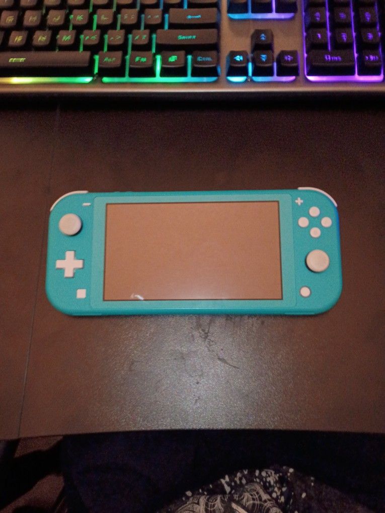 Nintendo Switch Lite (Prize Negotiable)