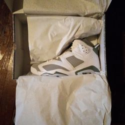 Cool Grey 6s Dead Stock 