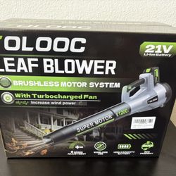 Leaf Blower Cordless