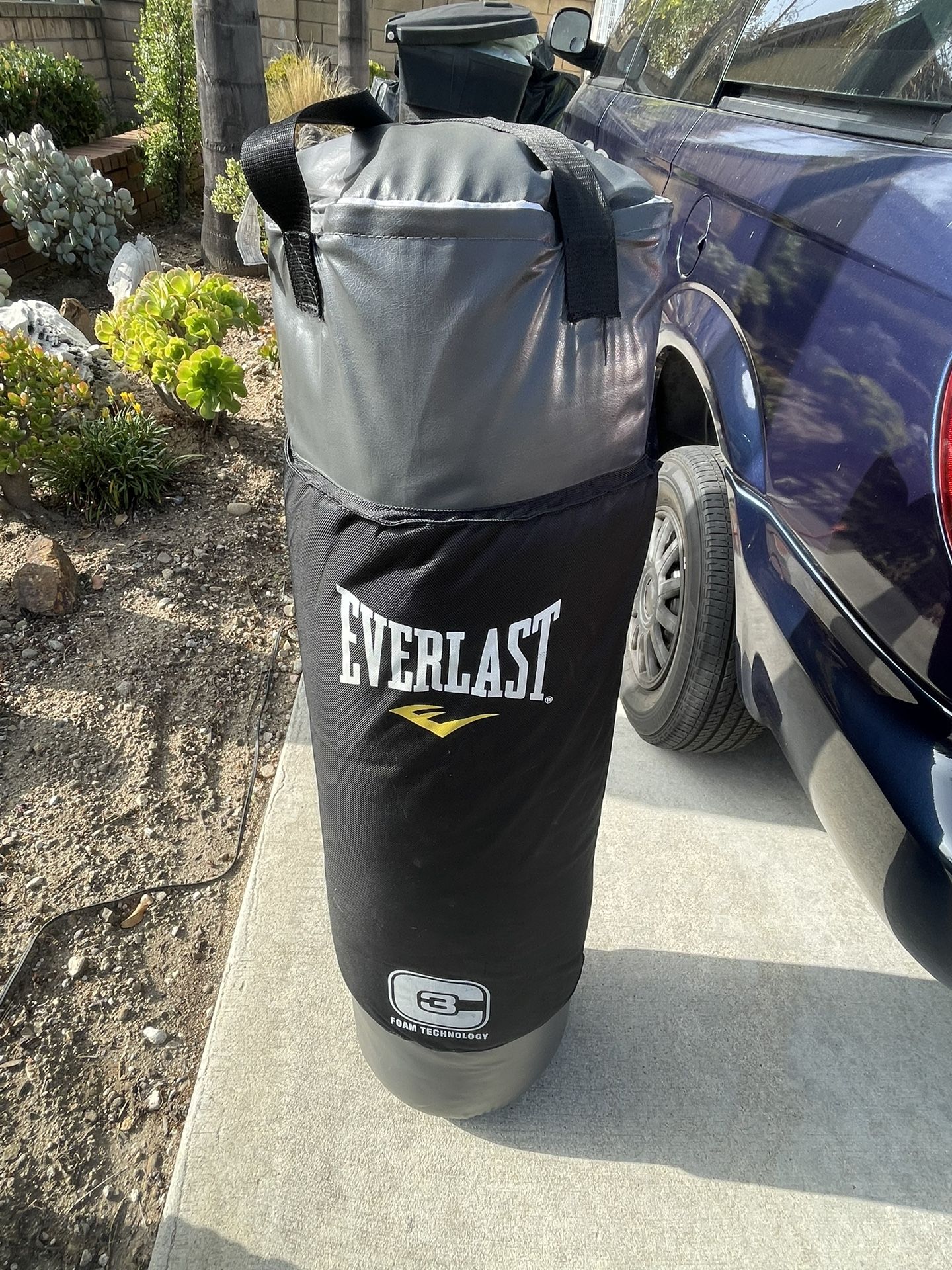 Duralast Punching Bag