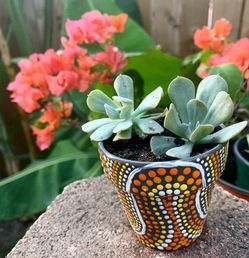 Succulent in a Painted Pot