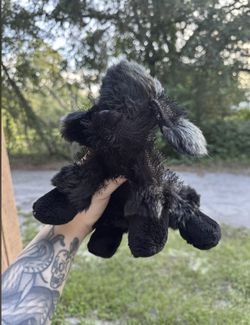 Webkinz Dog