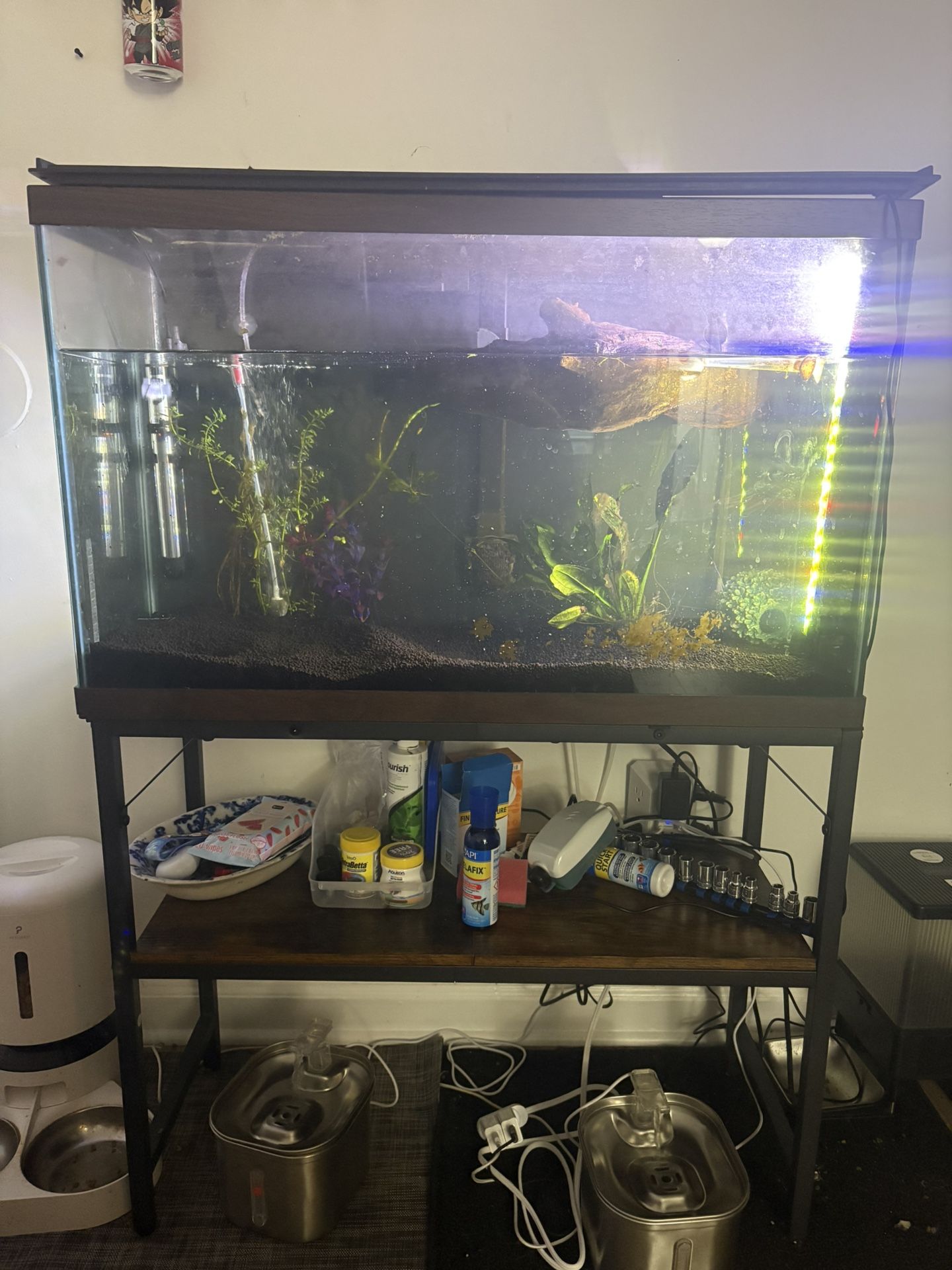 30 Gal fish tank