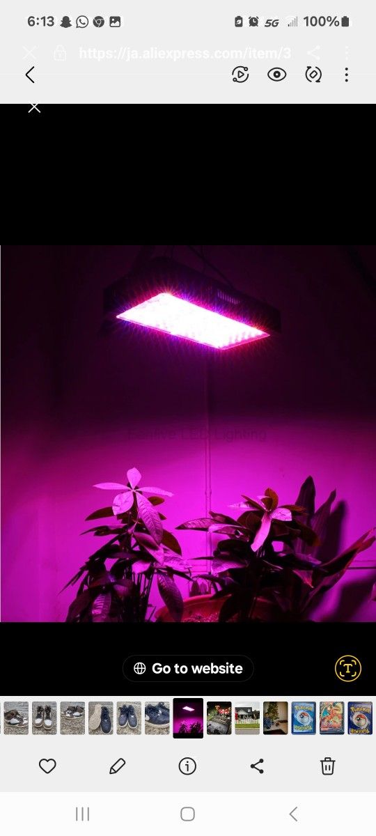 Plants Ligth Grow