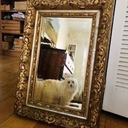 Genuine Antique Mirror 
