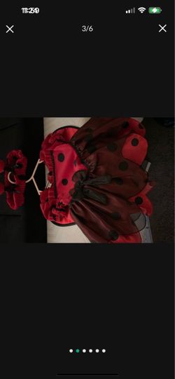 SÚPER CUTE LADY BUG DRESS COMPLETE SIZE 6TO 9 MONTHS.