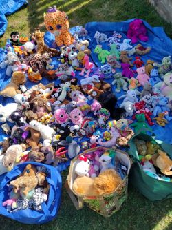 Large Beanie Babies Collection