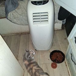 Portable Ac