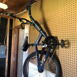 Novara Afterburner trail-behind trailer bike 22” wheel