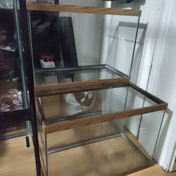 I got three 20 gallon tank for $30 and get a free heater