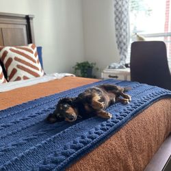 Solid Wood Queen Bed 