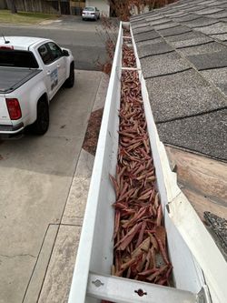 RAIN GUTTER CLEANING 