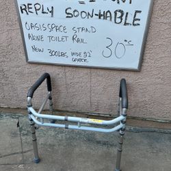 Toilet Frame Rail Helps To Stand