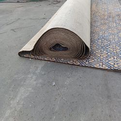 Brand New Carpet 
