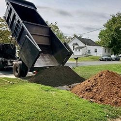 Free Dirt 