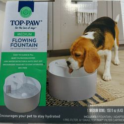 Dog Water Bowl