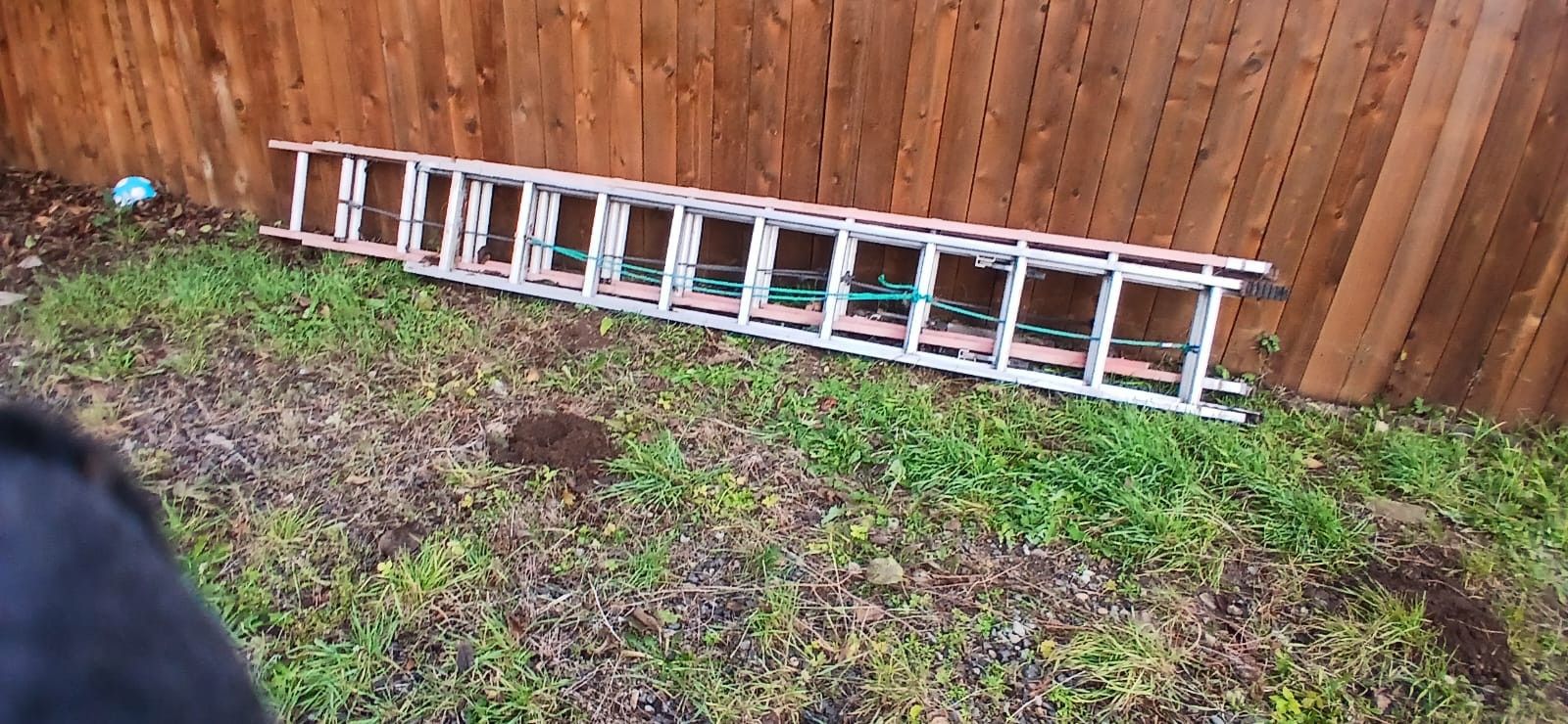 20 Gal Compressor 2 Ladders 3 Airguns And Air Hose