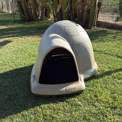 Dog House 