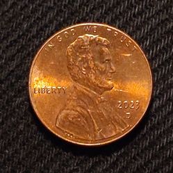 2023 D Penny Error