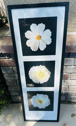 Framed White Flower Triptych Wall Art
