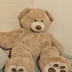 Teddy Bear./ Valentine's Day.