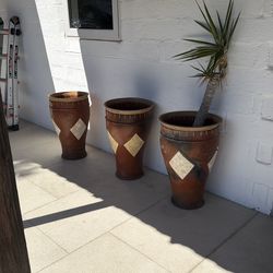 3 pots, 1 with plant