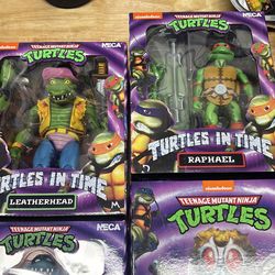 Teenage mutant ninja turtles