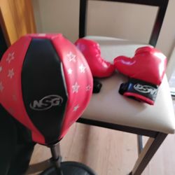 Mini Speed Bag With Base And Pair Boxing/Karate Gloves