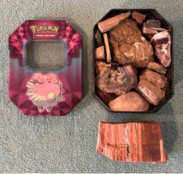 Fossil Rock & Petrified Wood Collection in a Pokemon Card Tin