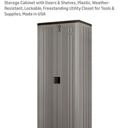  Storage Cabinet With Doors And Shelves 