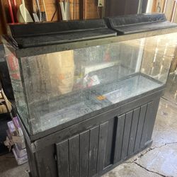 Fish Tank + Stand
