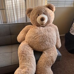 Giant Teddy Bear