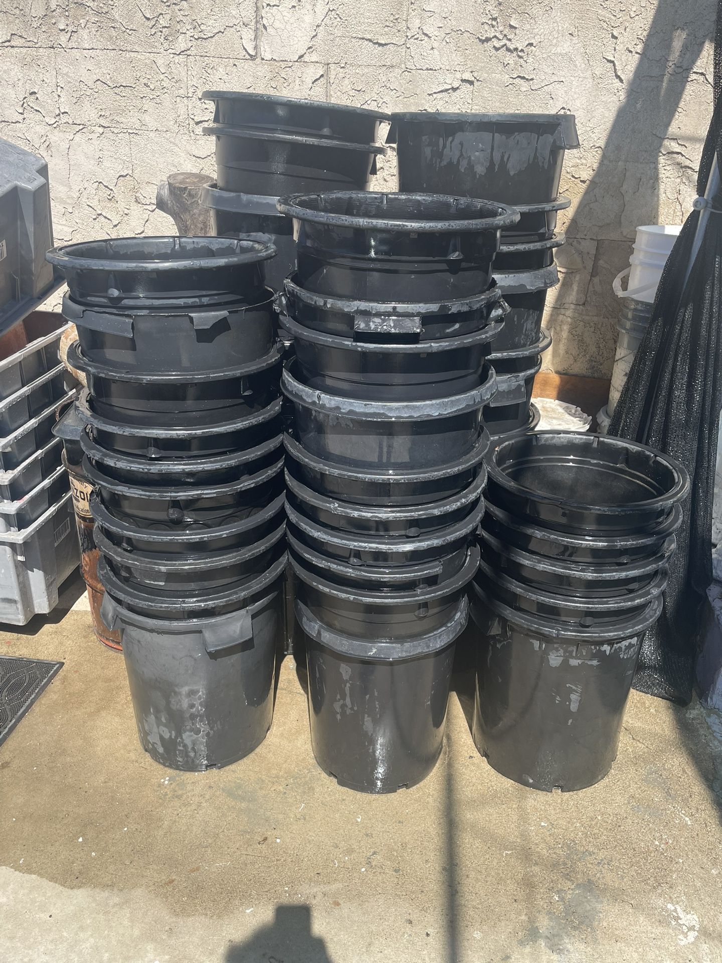 Plant Container 15 Gal.