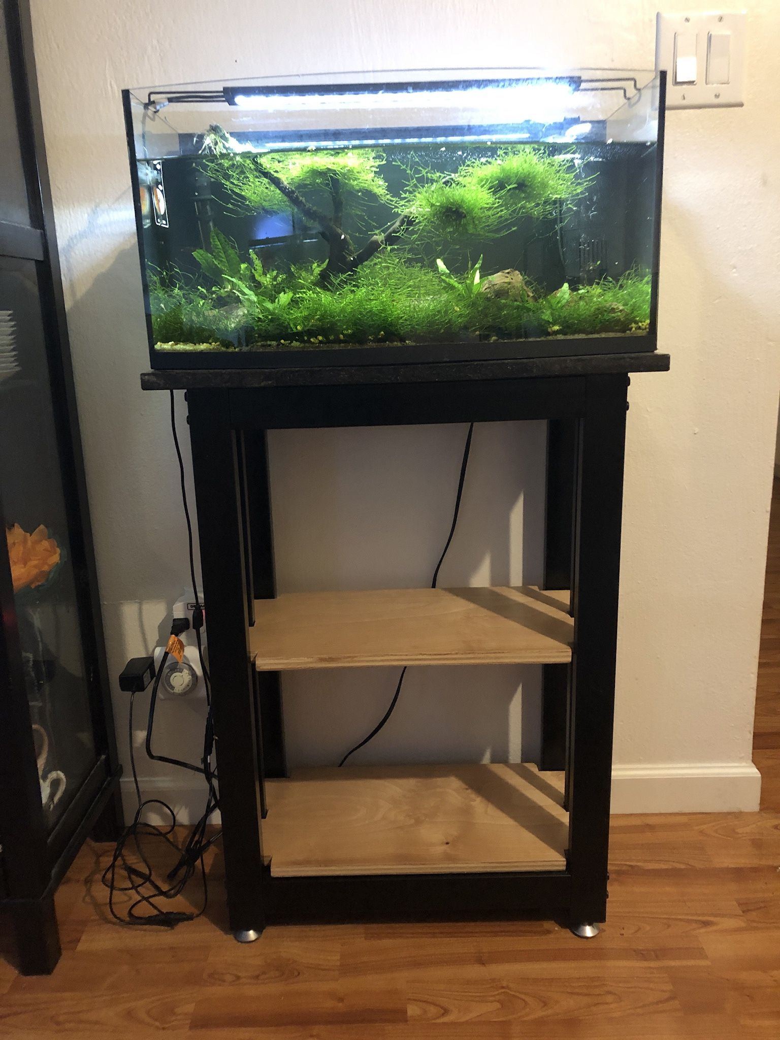 Euro Frameless Bowfront Aquarium Many Extras