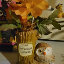 Collectable Owl